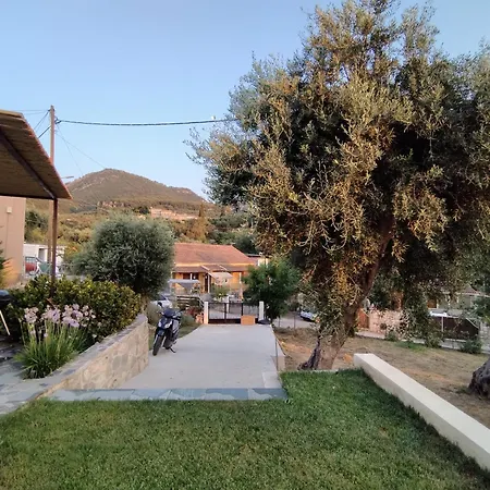 Olive Grove Near Acharavi Gasthof Agios Panteleimon (Corfu)